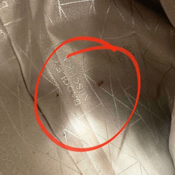 Badgley Mischka Metallic Silver Textured Leather Bag with Detachable Strap - Picture 2 of 9